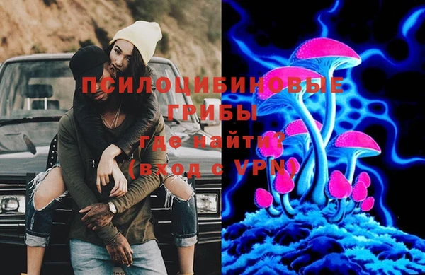 сатива Абинск