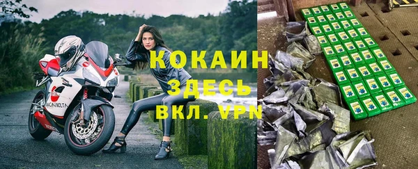 твердый Абаза
