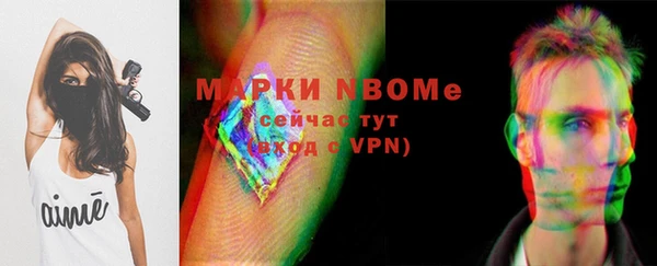 сатива Абинск