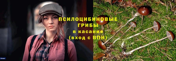 сатива Абинск