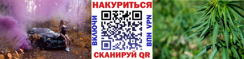 Бошки Шишки гибрид Пойковский